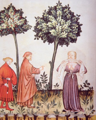Cholera, illustratie uit Tacuinum Sanitatis Codex Vindobonensis door Italian School