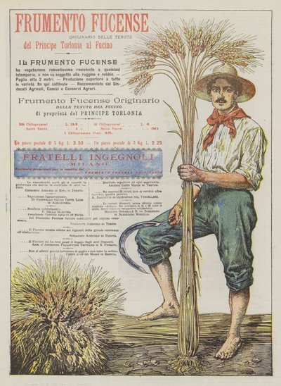 Frumento Fucense door Italian School