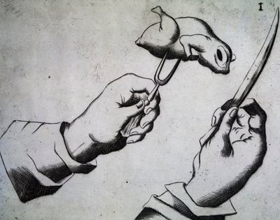 Hoe een vogel te hakken, Illustratie uit Li tre trattati di messer Mattia Giegher bavaro di Mosburc, Trinciante dell