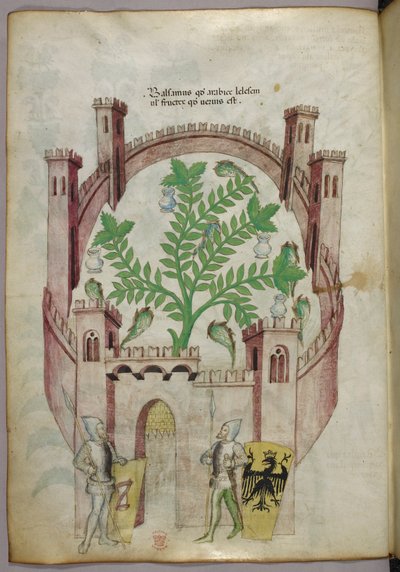 Illustratie van de balsemtuin van Caïro (Fustat), met zeven waterpoelen en kruiken om de balsem op te vangen, een plant in het midden, met twee ridders in harnas die de poort flankeren, met schilden met heraldische wapens, ca. 1440 (inkt  kleur op perkamen door Italian School