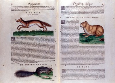 Illustraties uit 