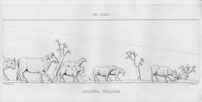 La Colonna Trajana, Trajanus