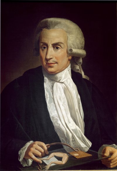 Luigi Galvani met kikkerspecimen door Italian School