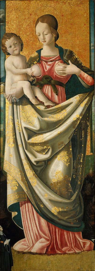 Madonna del Suffragio, c.1520 door Italian School