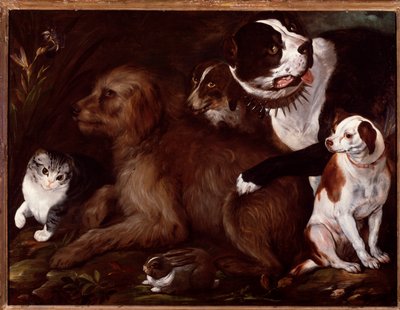Medici honden, met een kat en een konijn uit de Italiaanse school door Italian School