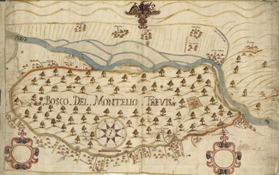 Montello, kaart, 18e eeuw, Veneto, Italië door Italian School