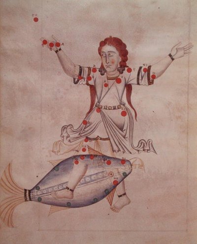 Ms.1036 De constellatie Vissen, uit 