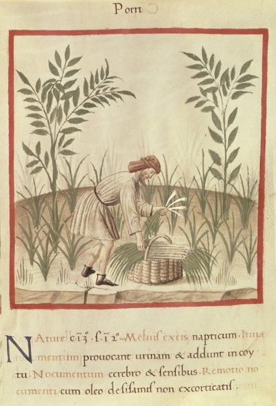 Ms 3054 f.22 Prei Oogsten, uit 
