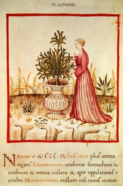 Ms 3054 fol.14v Marjolein Water geven, uit 