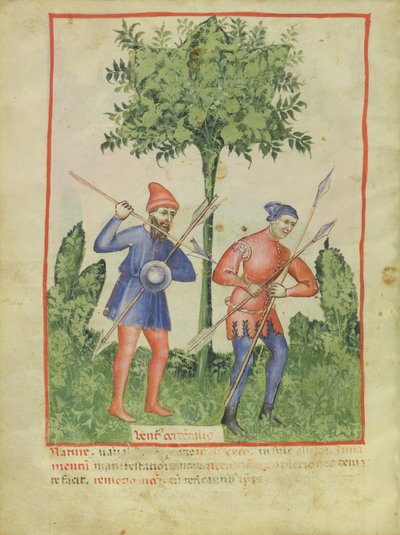 De Westenwind, uit Tacuinum Sanitatis door Italian School