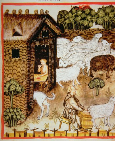 Nova 2644 fol.59r Schapenhouderij: zoete melk, uit Tacuinum Sanitatis door Italian School