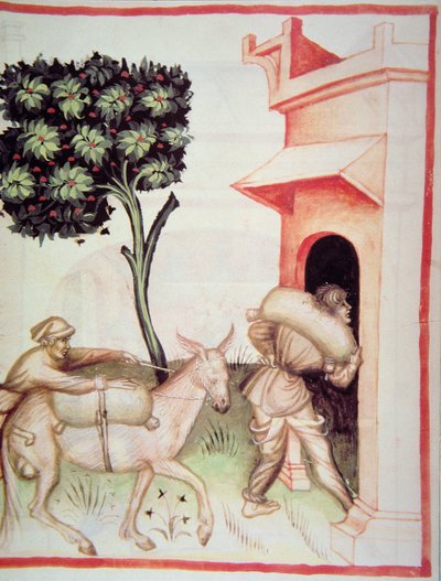 Nova 2644 fol.91v Olijfolie: het transporteren van de olijven, uit Tacuinum Sanitatis door Italian School