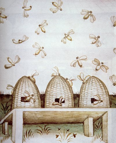 Nova 2644 fol.94v Bijenkorven, uit Tacuinum Sanitatis door Italian School