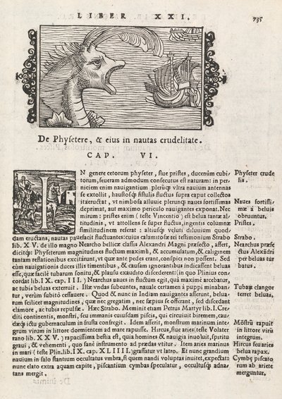Pagina 735 uit Historia De Gentivus Septentrionalibus door Magnus Olaus, Rome 1565 door Italian School