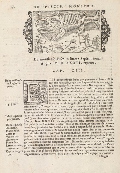 Pagina 742 uit Historia De Gentivus Septentrionalibus door Magnus Olaus, Rome 1565 door Italian School