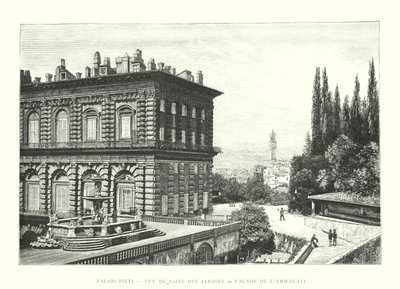 Pitti Paleis, Uitzicht vanaf de Tuinen, Façade van Ammanati door Italian School