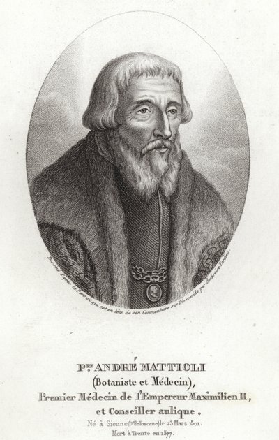 Pietro Andrea Mattioli door Italian School