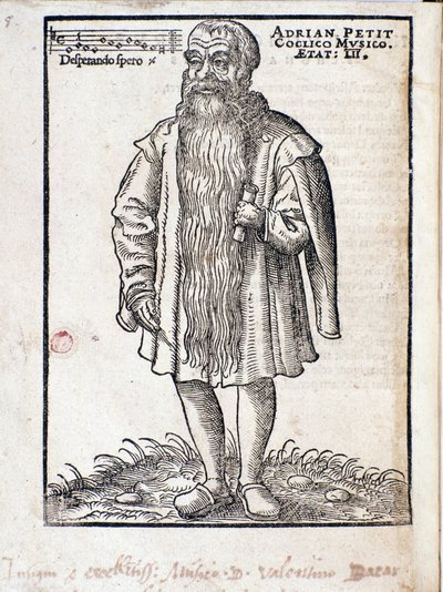 Portret van Adrianus Petit Coclico (1500-1562), Nederlandse componist van de Renaissance. door Italian School