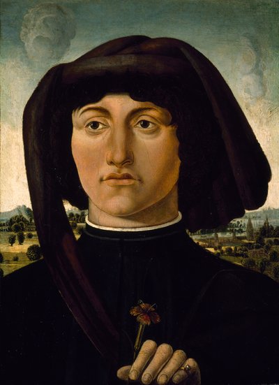 Portret van een jonge man met een roze bloem, ca. 1475-85 door Italian School