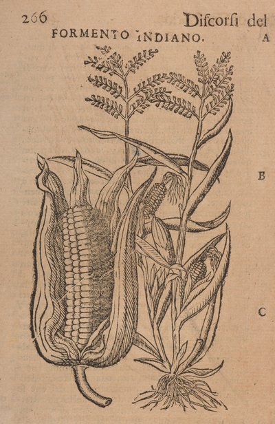 Toespraken van M. P. A. Matthioli, gecorrigeerd en aangevuld. Met figuren getekend van natuurlijke, levende planten en dieren, in een veel groter aantal dan de anderen later gedrukt, p.266 door Italian School