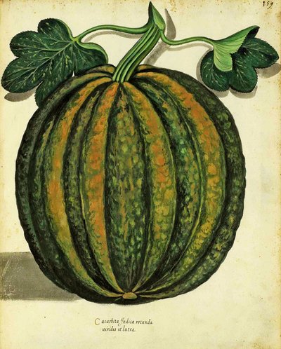 Pompoen, gepubliceerd in Piante Fiori Frutti door Italian School