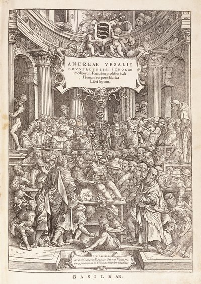De auteur voert een anatomische dissectie uit in een chirurgisch theater, 1543 door Italian School