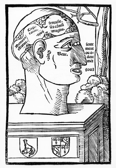 De Hersenen en Menselijke Vermogens (uit Anatomia Mundini, Franse editie) door Italian School