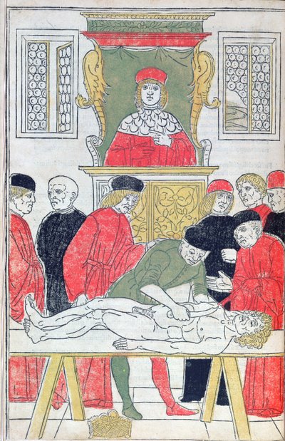 De Dissectie, illustratie uit 