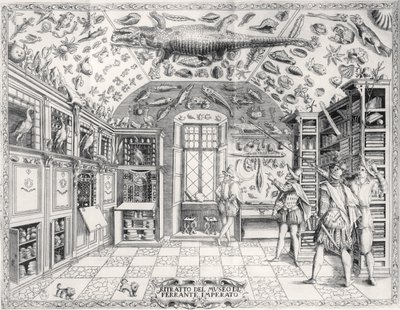Het Natuurhistorisch Museum van Keizer Ferdinand III uit Historia Naturale door Ferrante Imperato (1550-1631) gepubliceerd in 1672 door Italian School