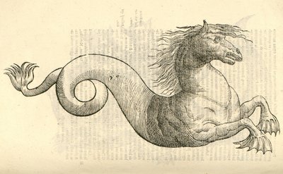 Illustratie van Equus marinus monstrosus uit Aldrovandis Geschiedenis van Monsters, 1642 door Italian School