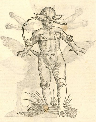 Illustratie van Infans capitibus Animalium uit Aldrovandis Geschiedenis van Monsters, 1642 door Italian School