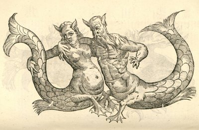 Illustratie van Monstra Niliaca Parei uit Aldrovandis Geschiedenis van Monsters, 1642 door Italian School