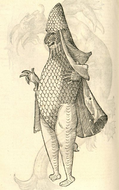 Illustratie van Monstrum Marinum rudimenta habitus Episcopi referens uit Aldrovandi