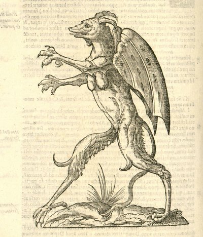 Illustratie van Monstrum alatum, & cornutum instar Cacodaemonis uit Aldrovandi