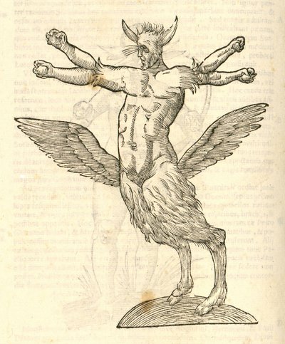 Illustratie van Monstrum tetrachiron alatum capite humano aurito uit Aldrovandi