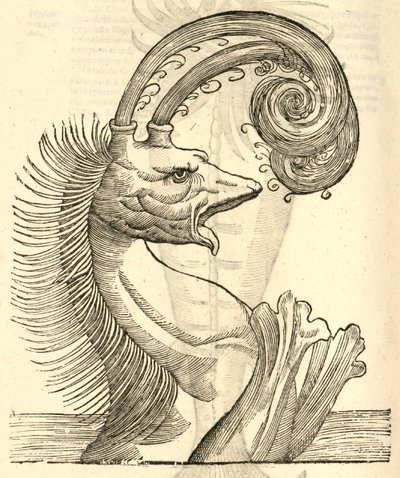 Illustratie van Pseudophyseter uit Aldrovandis Geschiedenis van Monsters, 1642 door Italian School