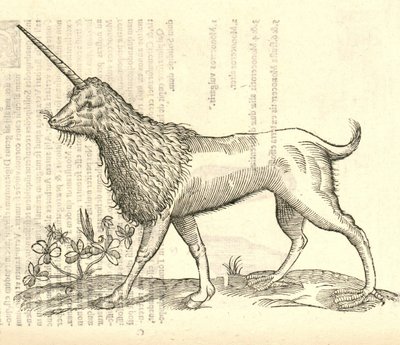 Illustratie van een Camphurch uit Aldrovandis Geschiedenis van Monsters, 1642 door Italian School