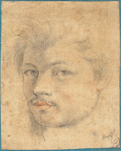 Hoofd van een Man door Italian or French 16th