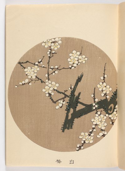 Jakuch? gafu, Meiji-periode, 1908 door Ito Jakuchu