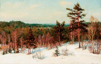 Winter - Uitzicht over het Bos door Ivan Fedorovich Choultse
