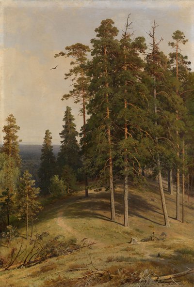 Het Pijnboombos, 1895 door Ivan Ivanovich Shishkin