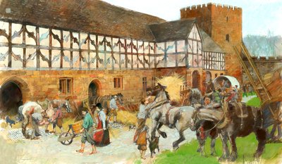Stallen van Kenilworth Castle door Ivan Lapper