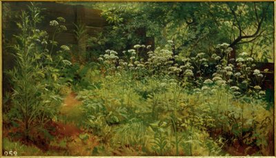Giersch. Pargolowo door Ivan Ivanovich Shishkin