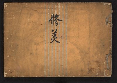 Studie van schoonheid door Iwasaki Shôun