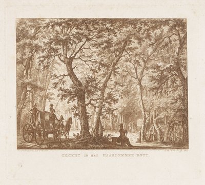 Koets en wandelaars in de Haarlemmerhout door Izaak Jansz. de Wit