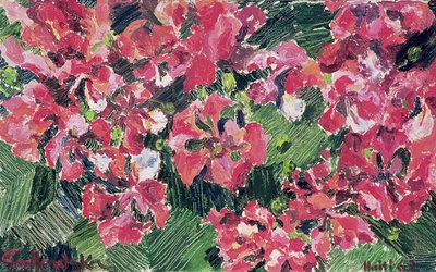 Rhododendron, 1962 door Izabella Godlewska de Aranda