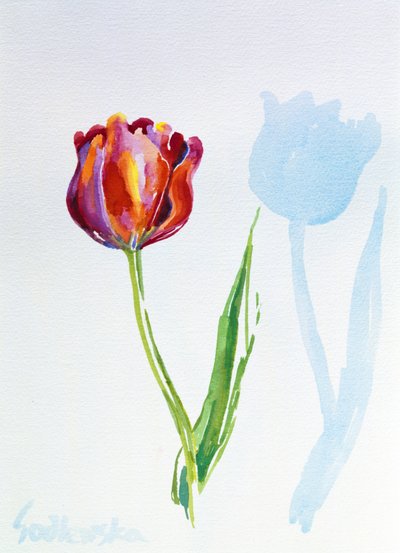 Tulp door Izabella Godlewska de Aranda