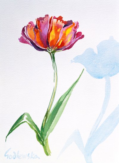 Tulp door Izabella Godlewska de Aranda