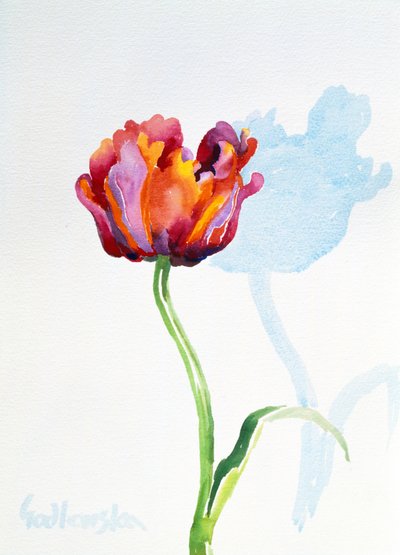 Tulp door Izabella Godlewska de Aranda