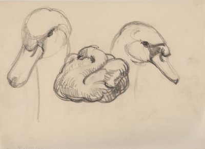 Zwaan en zwanenhoofden door J.A. Jerichau